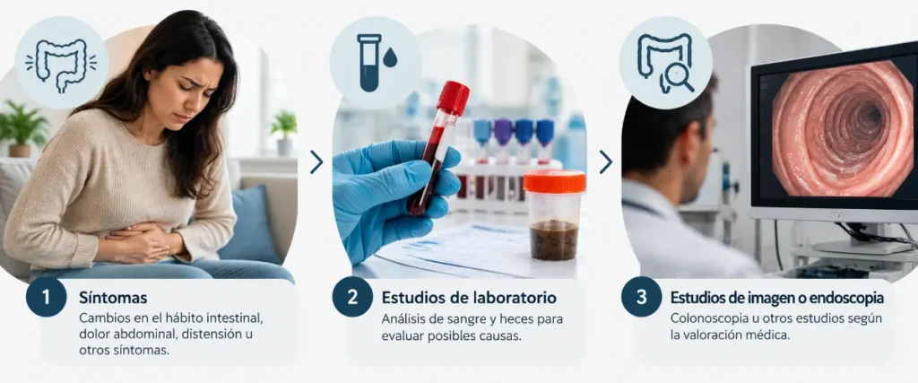 Cómo identifica el gastroenterólogo el origen de la alteración